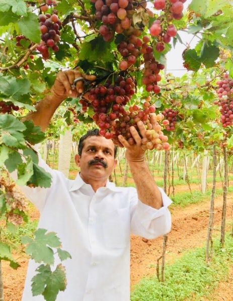 File:Mekala Siva Shankar Reddy1.jpeg